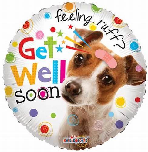 Get well soon Dog